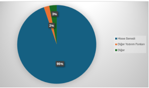 Yapı Kredi Portföy Model Portföy Hisse Senedi Fonu