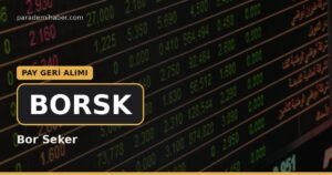 Bor Seker (BORSK) — pay geri̇ alimi haberi görseli