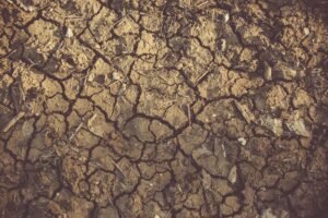 WMO: Rekor El Nino Tarımsal Üretimi ve Küresel Ekonomiyi Tehdit Ediyor (temsili görsel)