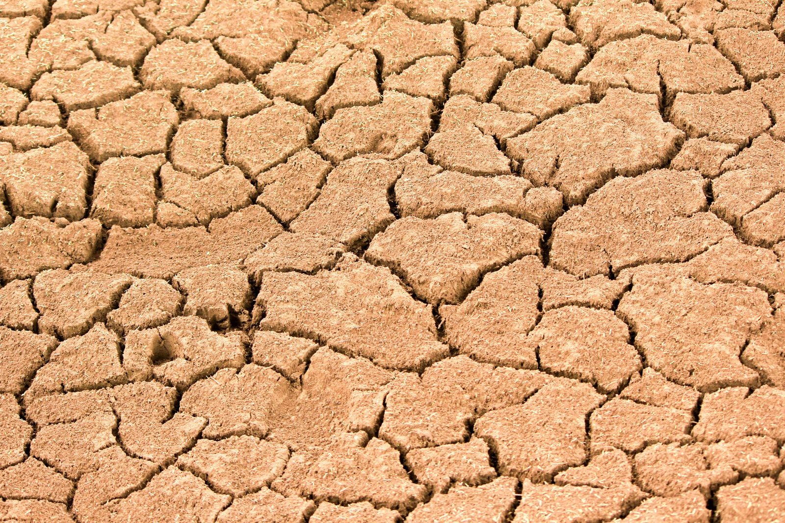 IMF, El Nino ve Enerji Fiyatlarının Yarattığı Çift Şoka Karşı Kırılgan Ülkelere Destek Hazırlığında (temsili görsel)