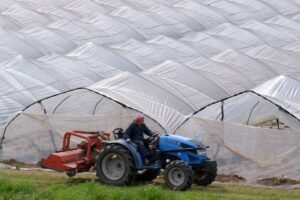 İntetra, Birleşik Seracılık’taki Payını 250.000 ABD Doları Ödeyerek ’e Çıkardı (temsili görsel)