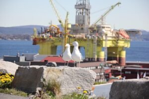 Brent Petrol 115 Doları, ABD Ham Petrolü 101 Doları Aştı (temsili görsel)